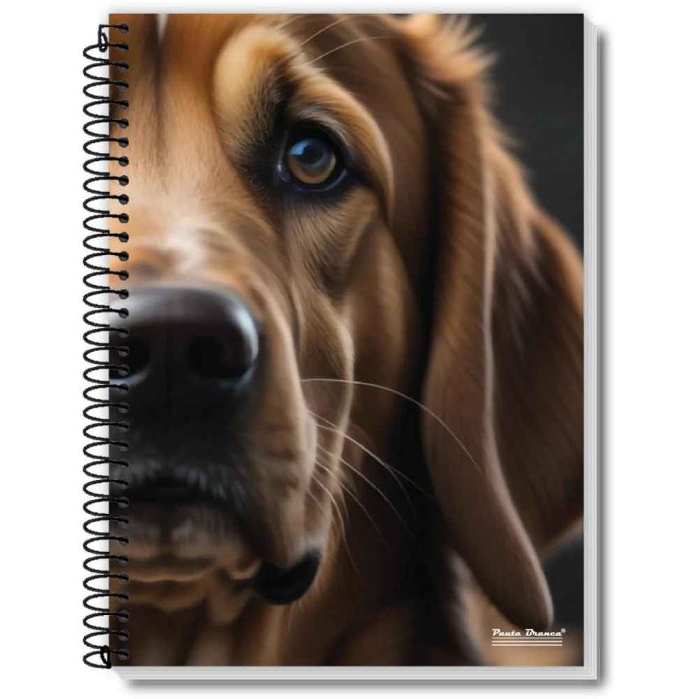 Caderno 10X1 Capa Dura Rox 200Fls. Pauta Branca (Pct.c/03) - imagem 3