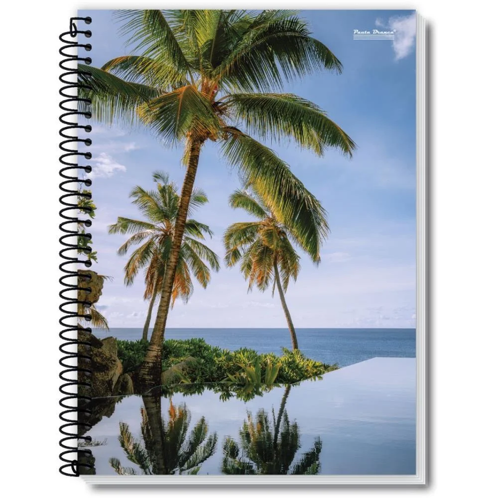 Caderno 01X1 Capa Dura New 96Fls. Pauta Branca (Pct.c/05) - imagem 10