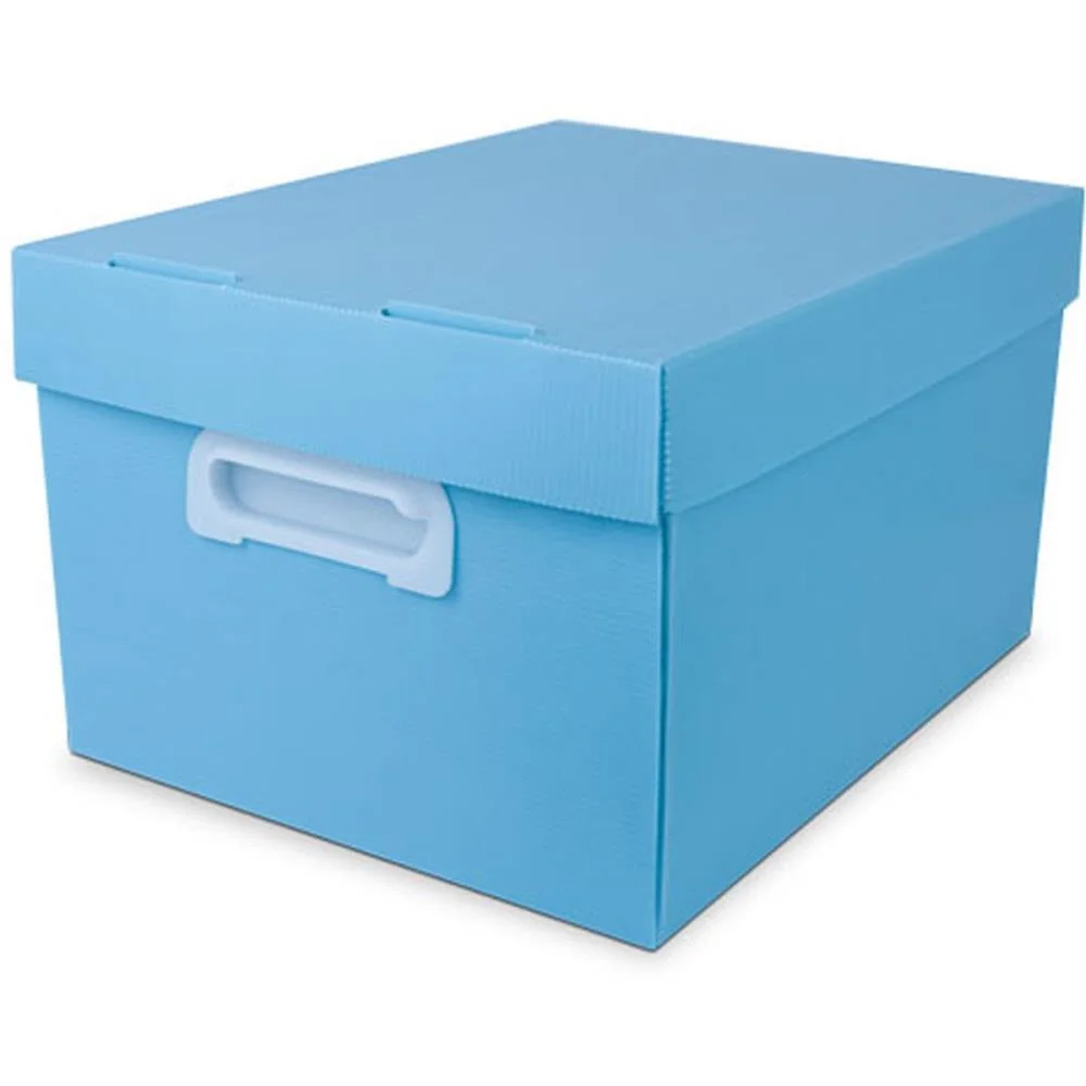 Caixa Organizadora The Best Box G 437X310X240 Azp Polibras - imagem 3