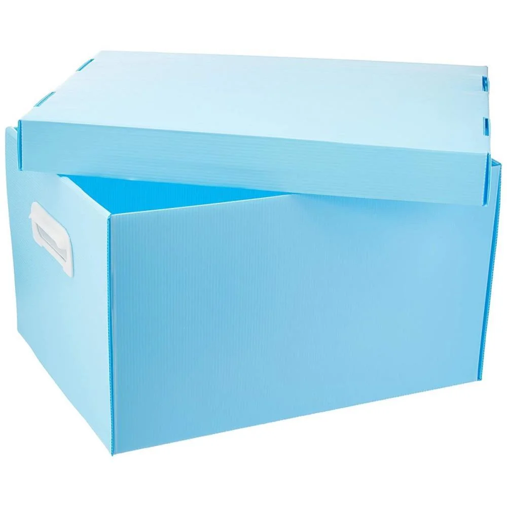 Caixa Organizadora The Best Box G 437X310X240 Azp Polibras - imagem 4