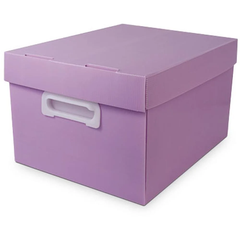 Caixa Organizadora The Best Box G 437X310X240 Llp Polibras - imagem 2